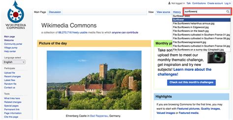 P Wikimedia Commons