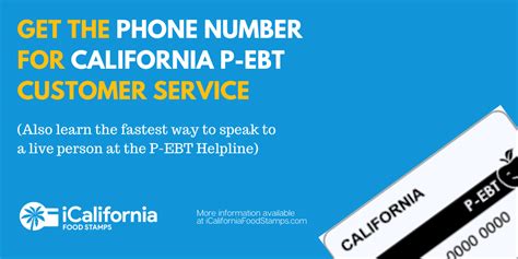 P ebt california phone number. Things To Know About P ebt california phone number. 