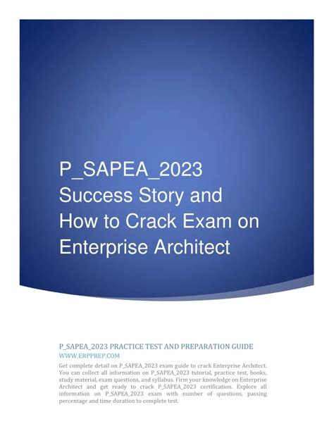 P-SAPEA-2023 PDF Demo