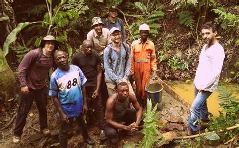 P-WAC - Great ape rescue and rehabilitation projects and education … - raincitystudios.com