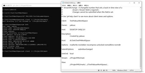 P4 resolve command.  During my research, I discovered Xilinx&rsquo;s commerci...