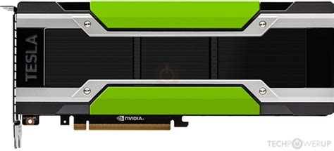 P40 nvidia