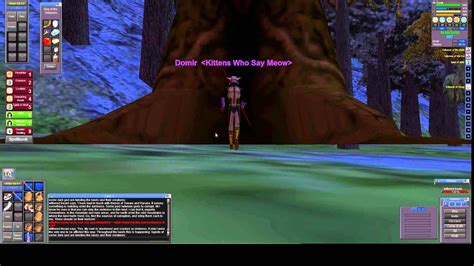 Classic Everquest On the P99 Green server! In this video I di