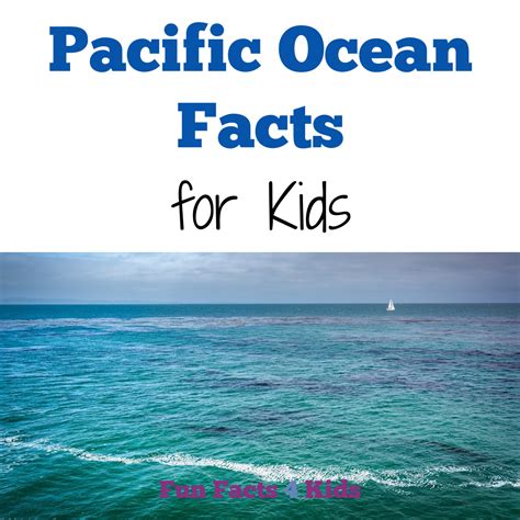 Pacific Ocean Facts for Kids - wintechmobiles.com