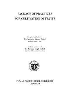 PACKAGE OF PRACTICES FOR CULTIVATION OF FRUITS - raincitystudios.com