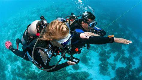 PADI Underwater Navigator Course - What You Need … - raincitystudios.com
