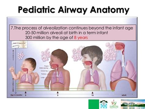 PAEDIATRIC AIRWAY - SlideShare