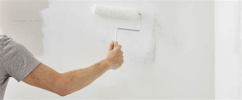 Paint Primer For Plaster Walls - muktibox.com
