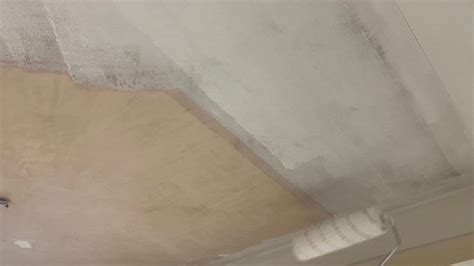 Painting Bare Plaster | Zinsser | Zinsser UK | Specialist Paints and ... - muktibox.com