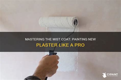 Painting New Plaster and How to Apply a Mist Coat - DIY … - muktibox.com