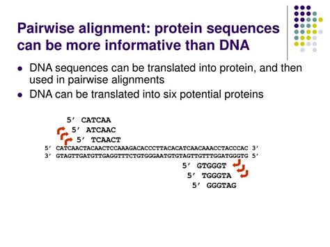 Pairwise Align DNA - Bioinformatics - coolestguyplanet.net