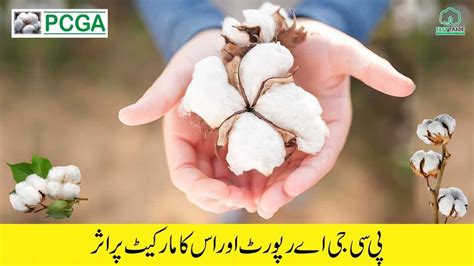 PAKISTAN COTTON GINNERS