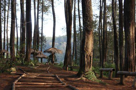 PAL 16 CIKOLE | Tempat Outbound di Lembang - raincitystudios.com