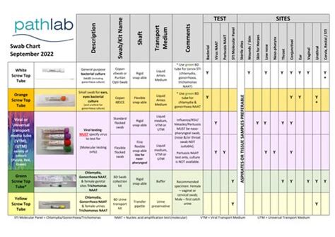 PAL-I Testking.pdf