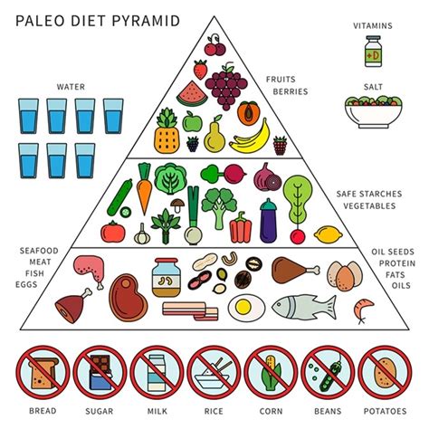 PALEO - Undangan Web Digital Nomor 1 Di Indonesia - muktibox.com