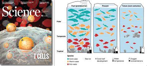 Paleobiology provides glimpses of future ocean | Science - raincitystudios.com