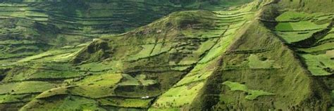 Paleoethnobotany and Ancient Agriculture | Request PDF - wintechmobiles.com