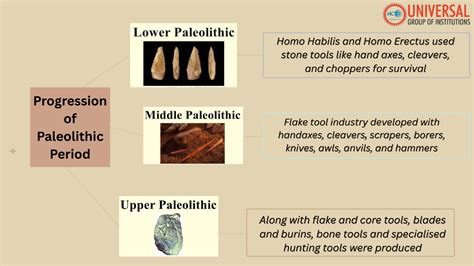 Paleolithic Technology and Human Evolution | Science - wintechmobiles.com