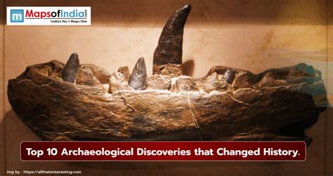 Paleopathology,archaeology diciplines, archaeological discoveries ... - wintechmobiles.com