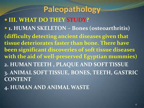 Paleopathology | Department of Anthropology | University of Pittsburgh - wintechmobiles.com
