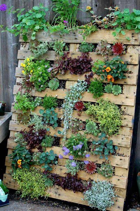 Pallet ideas to transform your garden with recycled wood - raincitystudios.com