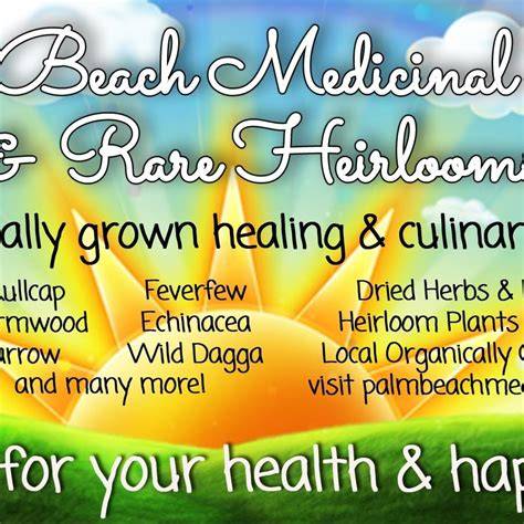 Palm Beach Medicinal Herbs - Bittersweet Nightshade (Solanum … - raincitystudios.com
