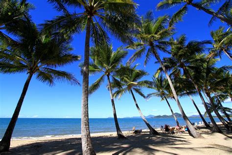 PALM COVE BEACH - 2024 All You Need to Know BEFORE You Go