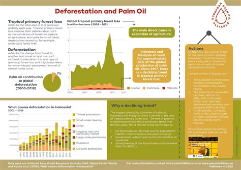 Palm oil: The carbon cost of deforestation - ScienceDaily - wintechmobiles.com