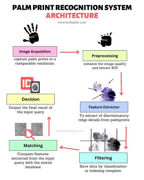 Palm Print Recognition System: #Need, Uses, & Working - coolestguyplanet.net