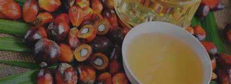 PALM YAĞI Ataman Kimya. 