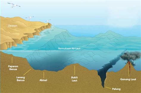 Palung Laut di Samudra - Wiki Berbudi - wintechmobiles.com