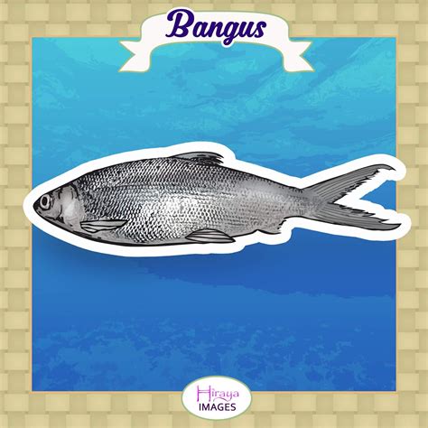 Pambansang isda ng Pilipinas. Bangus (Chanos chanos ... - muktibox.com