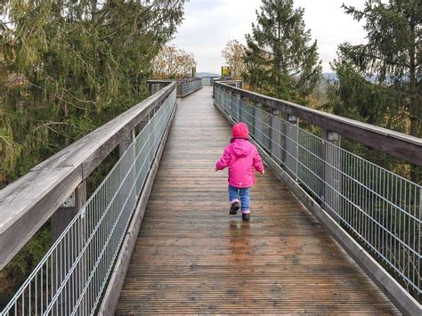 PANARBORA Waldbröl: Das gibt es beim Baumwipfelpfad …