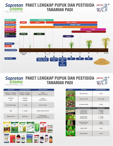 Panduan Aplikasi Pupuk dan Pestisida - raincitystudios.com