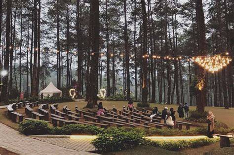 Panduan Berwisata di Orchid Forest Cikole & Pilihan - raincitystudios.com