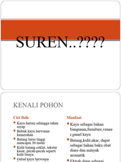 Panduan Budidaya Pohon Suren | PDF - Scribd - raincitystudios.com