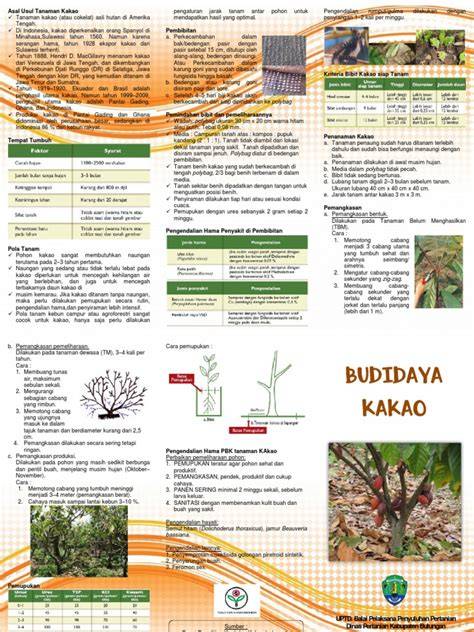 Panduan Budidaya Tanaman Kakao | PDF - Scribd - raincitystudios.com