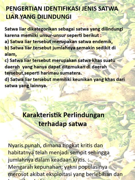 Panduan Identifikasi Jenis Satwa Liar Dilindungi Bagian ... - FlipHTML5 - muktibox.com