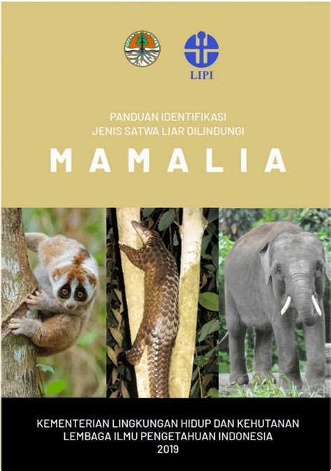 Panduan Identifikasi Mamalia Dilindungi | PDF - Scribd - muktibox.com