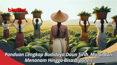 Panduan Lengkap Budidaya & Ternak Kelinci | PPTX - muktibox.com