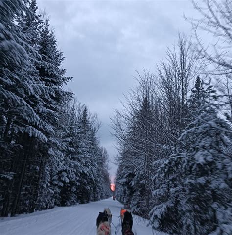 Panduan Lengkap One-Way ANOVA | PDF - Scribd - wintechmobiles.com