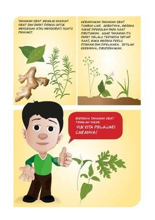 Panduan Lengkap Tanaman Obat Keluarga - Teknosional - raincitystudios.com