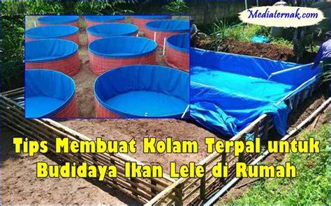 Panduan Membuat Kolam Terpal Lengkap - raincitystudios.com