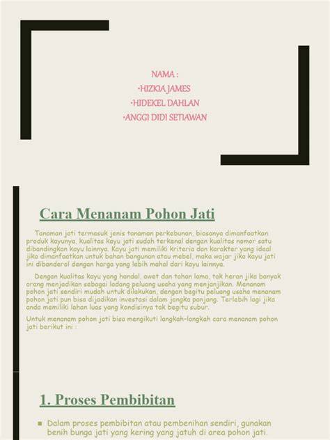 Panduan Menanam Pohon Jati - raincitystudios.com