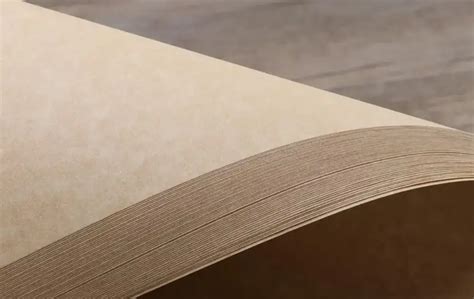 Panduan Utama untuk Kertas Printer Perkamen - muktibox.com