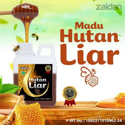 Panen madu hutan liar #lebah #madu #apisdorsata - raincitystudios.com