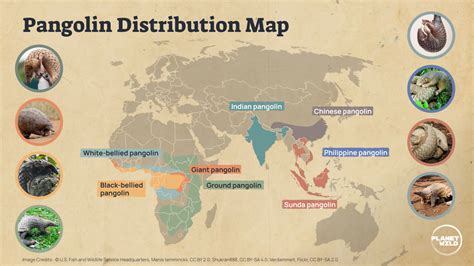 Pangolin Habitat Map - wintechmobiles.com