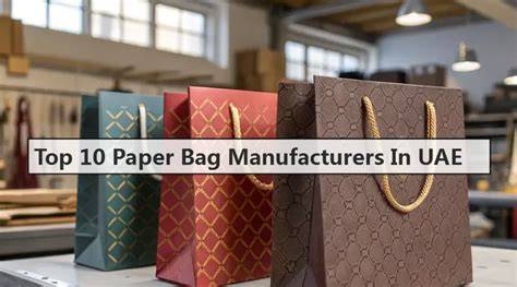 Paper Bag Manufacturers & Suppliers in Dubai, UAE - raincitystudios.com