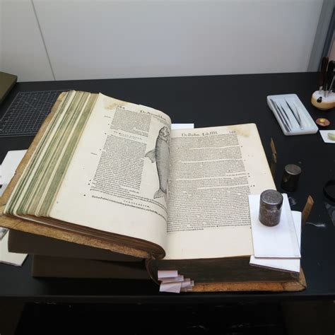 Paper Repair & Conservation | Bookends Bindery - muktibox.com