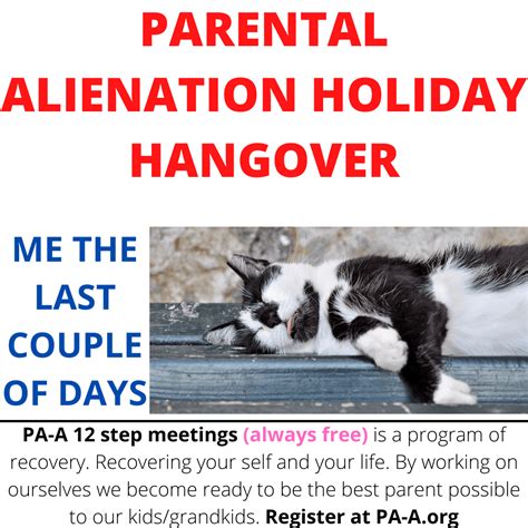 PARENTAL ALIENATION HOLIDAY HANGOVER